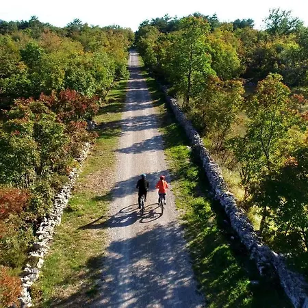 Brinovka * Kostanjevica na Krasu