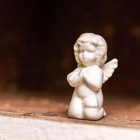 Villa Brinovka Kostanjevica na Krasu