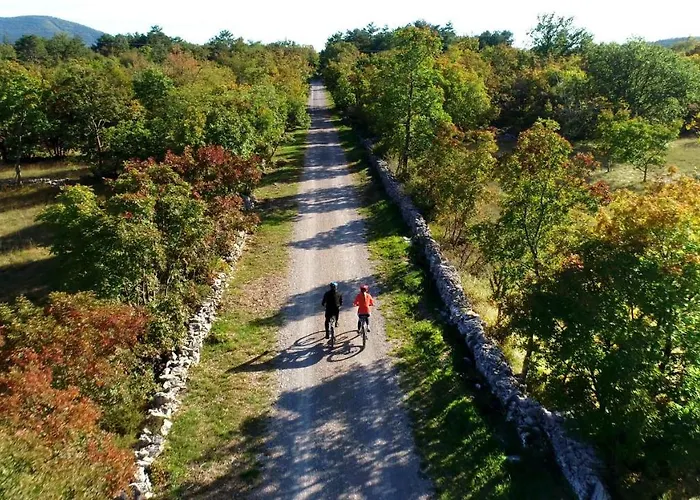 Brinovka * Kostanjevica na Krasu