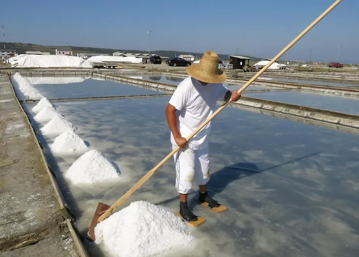 Brinovka * Kostanjevica na Krasu